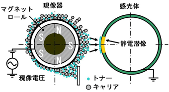2成分磁気ブラシの構成